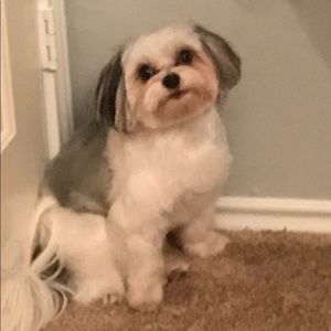 Meet your Posher, Linnea